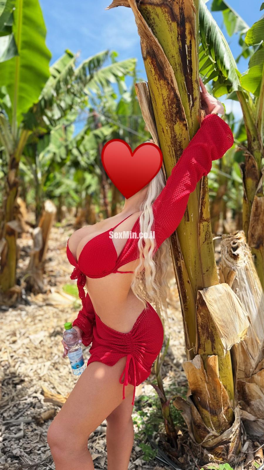 סופיה- חיפה- מארחת סופר סקסית - תמונה 4