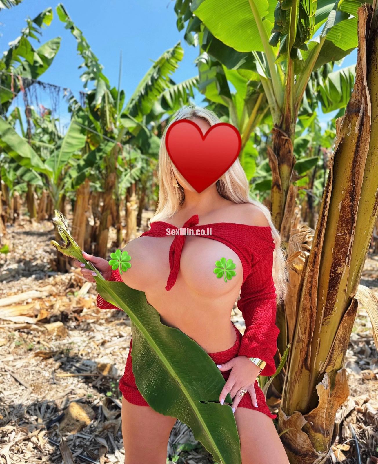 סופיה- חיפה- מארחת סופר סקסית - תמונה 5